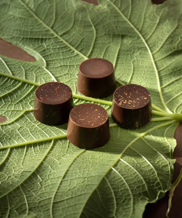 Ciocovegan: praline di cioccolato fondente decorate d'oro, posate su una foglia di fico